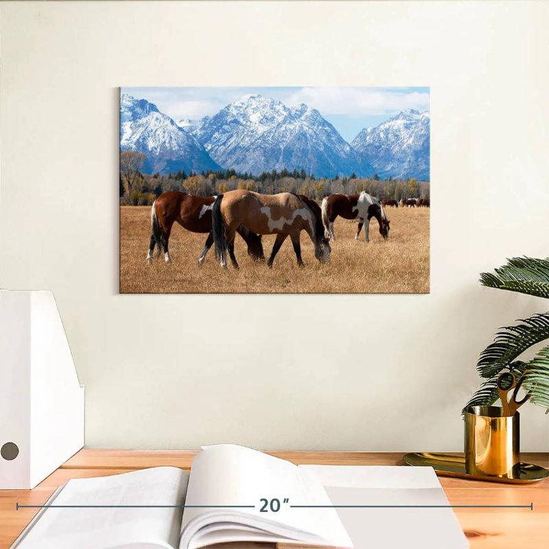 Brampt Grazing Grand Teton Horses