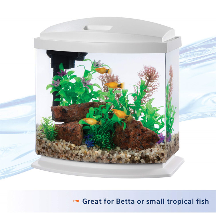 Elive Betta Bowl and Planter, White, 75 Gallon : : Pet