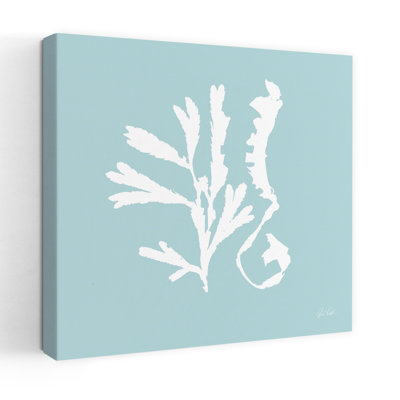 Art côtier Seaweed II
