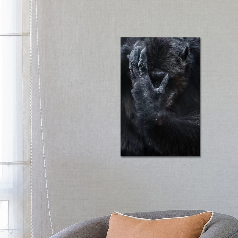 Chimpanzee I by Goran Anastasovski - Wrapped Canvas Print, 66.04 cm H x 45.72 cm W x 3.175 cm D