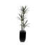 71"H  Artifical Yucca Tree with Pebbles in Black Tin Planter-39832109
