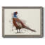Pheasant Splash 5, peinture sur toile encadrée-1414310029-1414310030