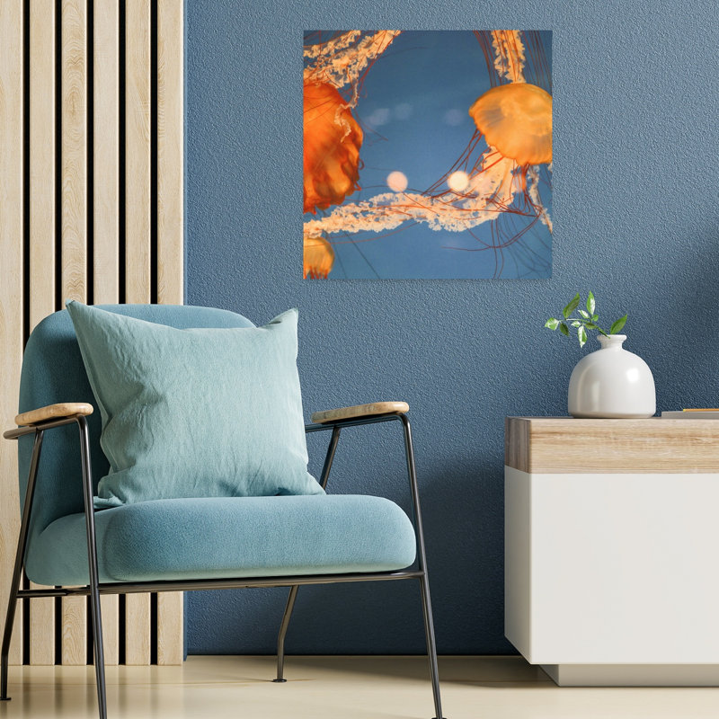 Jelly Fish 1 Contemporary Fish Wildlife Art, 18" H x 18" W