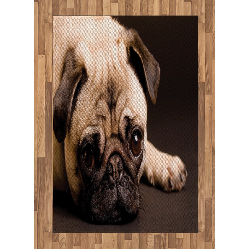 Pug High Density Long Fiber Poly Threads Decorative Area Rug Carpet, Rectangle 4' x 5'8"