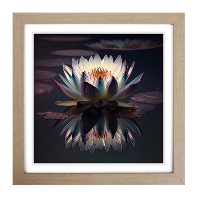 Water Lily Flower - Framed Print