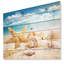 «Starfish and Seashells on Beach», photographie-1098964851-1098964852