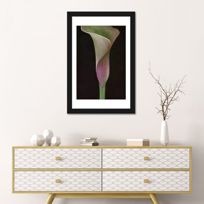 Calla Lily I, reproduction sur toile