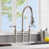 Brushed Nickel selected