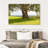 Harnek Real Tree-108731373