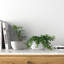 Maui Handmade Ceramic Pot Planter