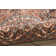 Catarina Oriental Indoor Rug