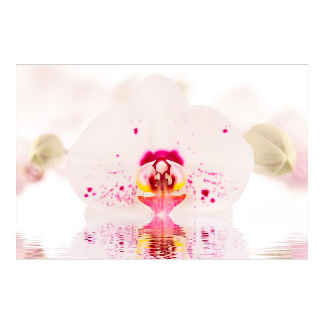 Matt Fototapete Gepunktete Orchidee auf Wasser 2,9 m x 432 cm