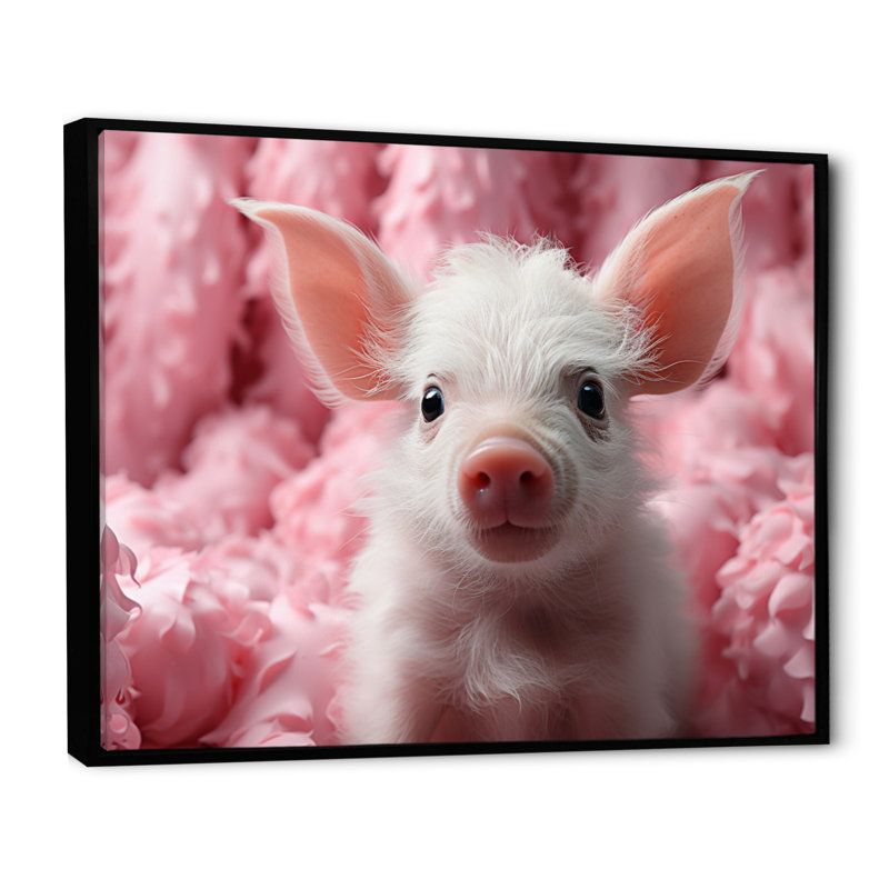 «Pink Curious Pig II», reproduction sur toile, Cadre flottant noir, H 16 po x l 32 po x P 1 po