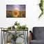 «Sunflower Sunset» par Donnie Quillen