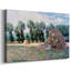 Monet - Toile tendue avec châssis-510104885