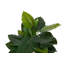 133cm Faux Banana Leaf Plant in Pot