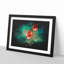 Rose Garden - Picture Frame Graphic Art-56876112-56876113