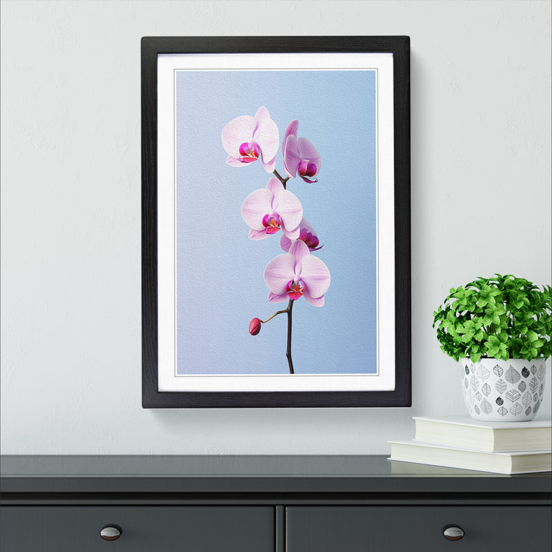 Orchid Flower Minimalism 1 Piece Single Picture Frame Wall Art, 34cm H x 25cm W x 2cm D, Black