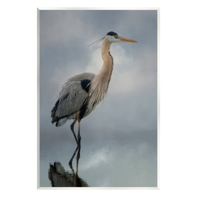 Aigrette perchée, reflet de l'eau - photographie
