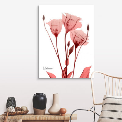 «Marvelous Gentian 1» par Albert Koetsier, reproduction sur toile