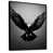 Black Floater Framed