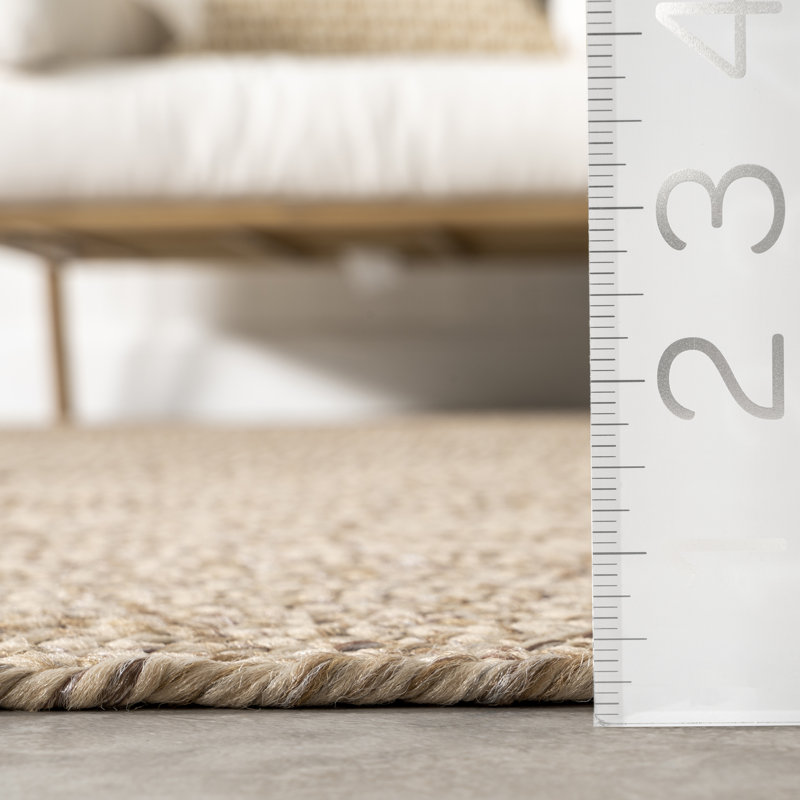 Owensby Braided Tan Indoor/Outdoor Rug, Rectangle 9'6" x 13'6"