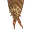 Rustic Lodge 10 - Light Pendant