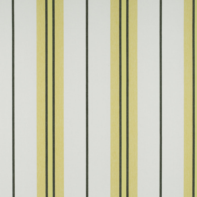 Tierras Burano Fabric, Onyx/Amarillo