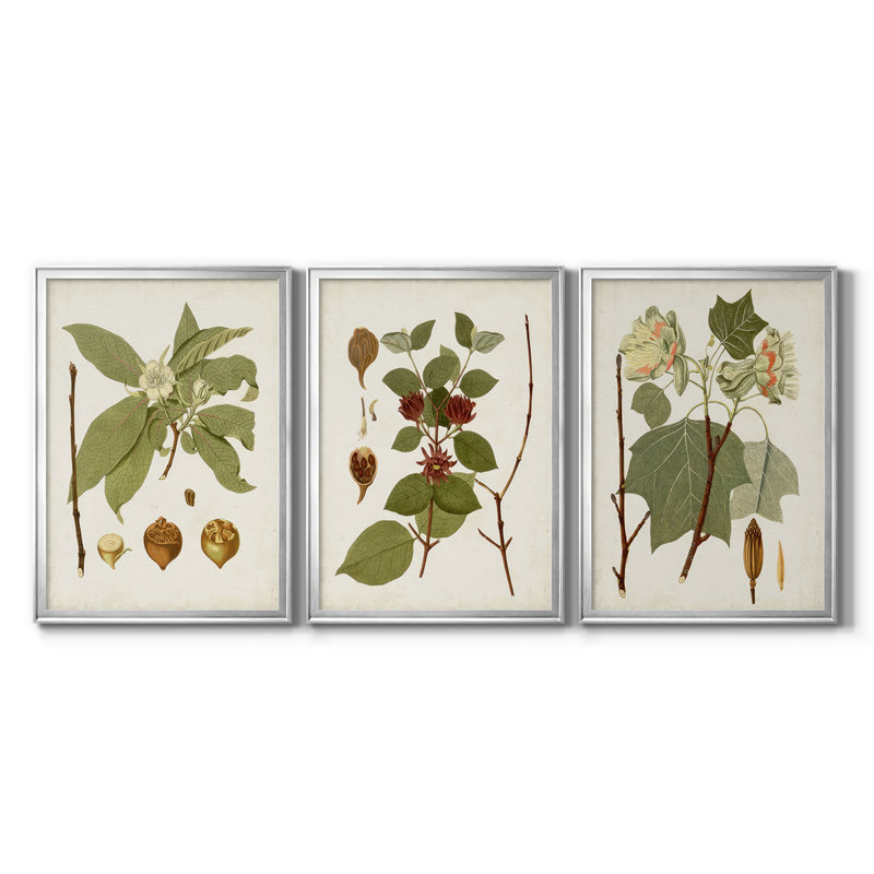 Antique Leaves I - Toile tendue avec châssis sur mesure - 3 pièces, H 21 po x l 30 po, Argent argent