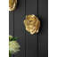 Accents muraux suspendus S / 2-1060755169