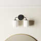 Fitz 2 Light Frosted Dimmable Vanity Light