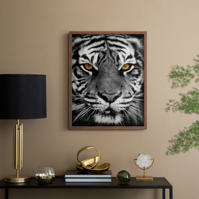 Golden Eyes Framed Print - Solid Wood