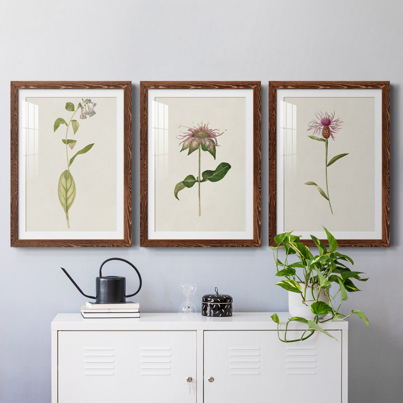 Mauve Garden Flowers IV encadré mat - prêt à accrocher, Érable, H 31,5 po x l 47 po x P 1,5 po