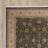Catarina Oriental Indoor Rug-17988272
