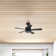 Wynd 5 - Blade Outdoor /Indoor Smart Ceiling Fan with Remote Control and LED Light Kit Included