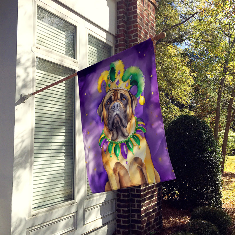 Double Sided 40'' H x 28'' W Polyester Mardi Gras House Flag