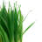 8.5 " H Faux Foliage Grass in Ceramic Pot