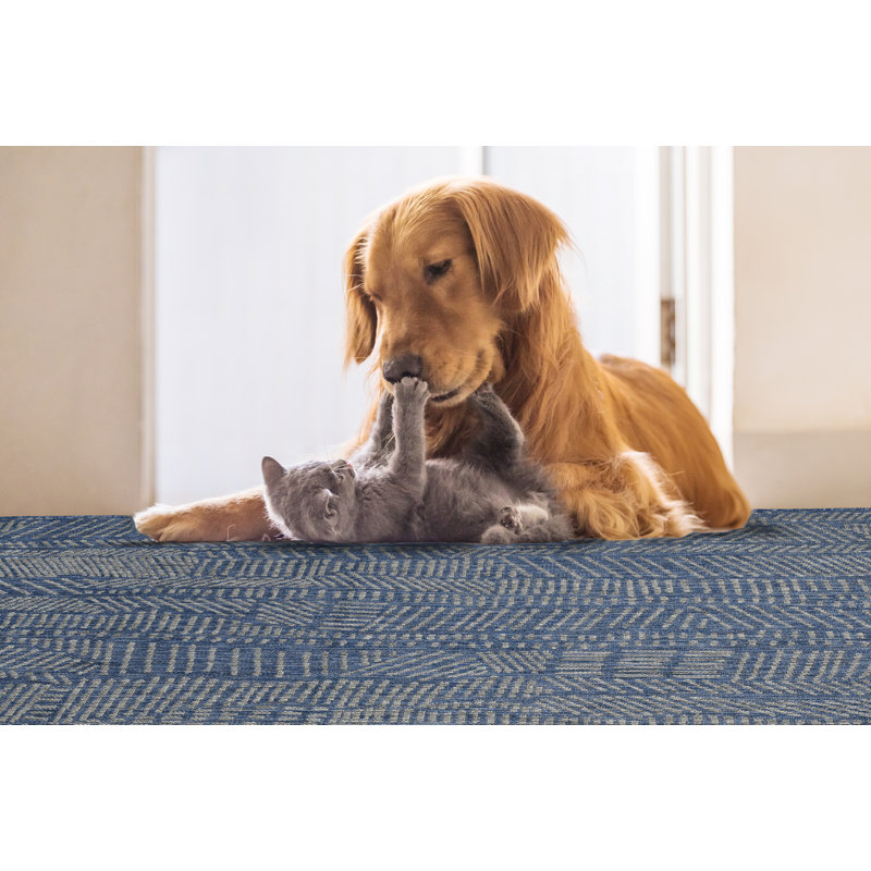 Tapis intérieur / extérieur en polypropylène tissé à la machine Rectangle Jericko, Rectangle 5 pi 2 po x 7 pi 6 po