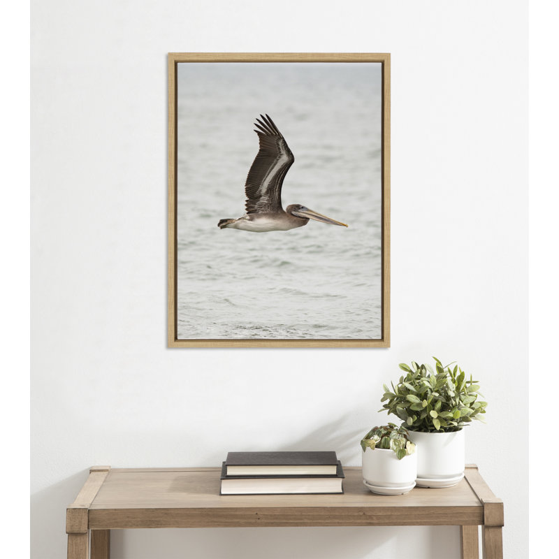 «Pelican No 1» par Crystal Lynn Collins, reproduction d'art sur toile encadrée
