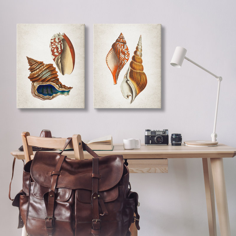 «Twin Shells Motifs», ensemble de 2 toiles murales, design par Kim Allen, H 24 po x l 60 po