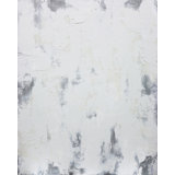 Inherent Behavior' Print on Canvas