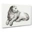 Young Lion by Jean Bernard - Wrapped Canvas Drawing - Wrapped Canvas-55319959