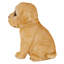 Statue de chiot Labrador Labrador-790654857