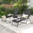Sarie Outdoor Metal Chaise Lounge Set-619044792
