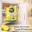 Hanging Moisture Absorber Dehumidifier Fresh Linen Lemon Wardrobe Damp Mould Condensation Remover Closet Storage (Pack Of 24)