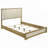 Wood LED Panel Bed