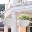 Boxdale Hanging Planter - Set of 2-650146792-650146796