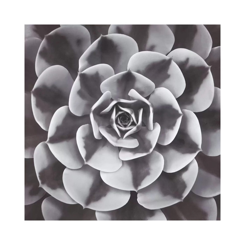 Natural Design III by Assaf Frank - Wrapped Canvas Print, 66.04 cm H x 66.04 cm W x 1.91 cm D