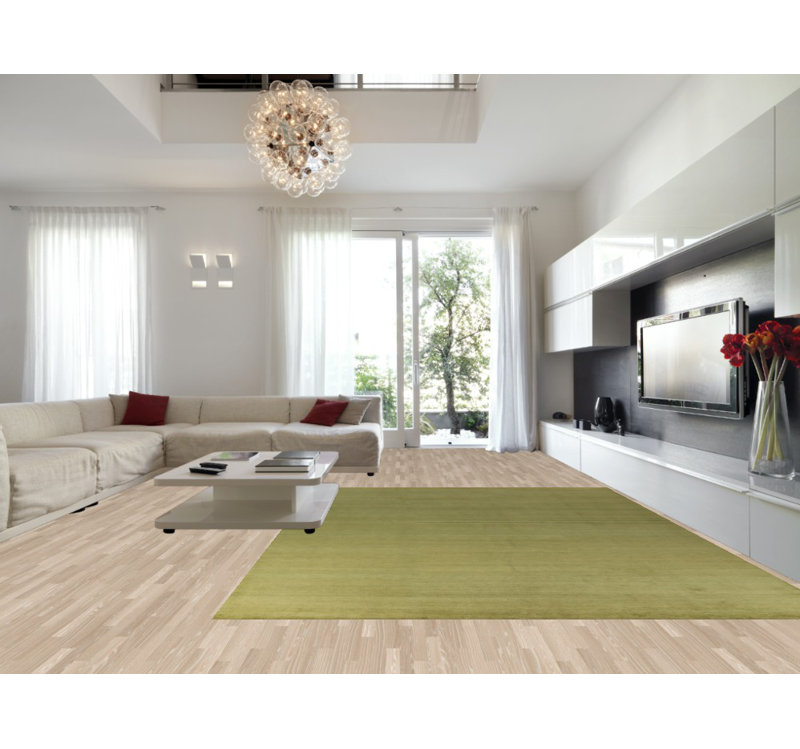 Tapis persan vert Gabbeh 10x14