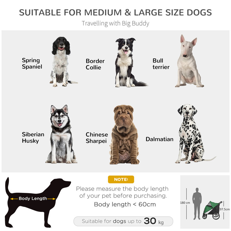 Foldable Pet Stroller, Green